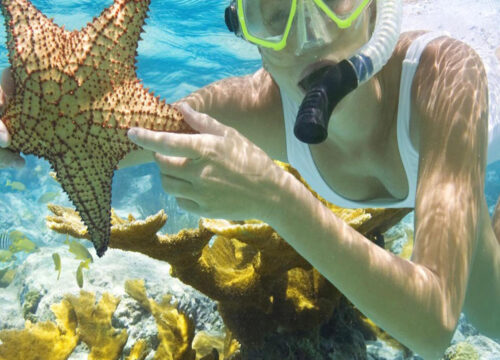 Escursione di snorkeling a Marsa Mubarak